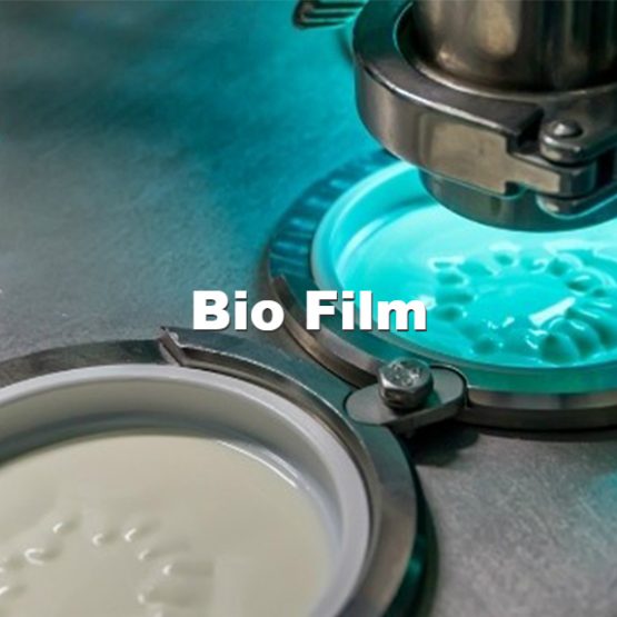 Bio Film